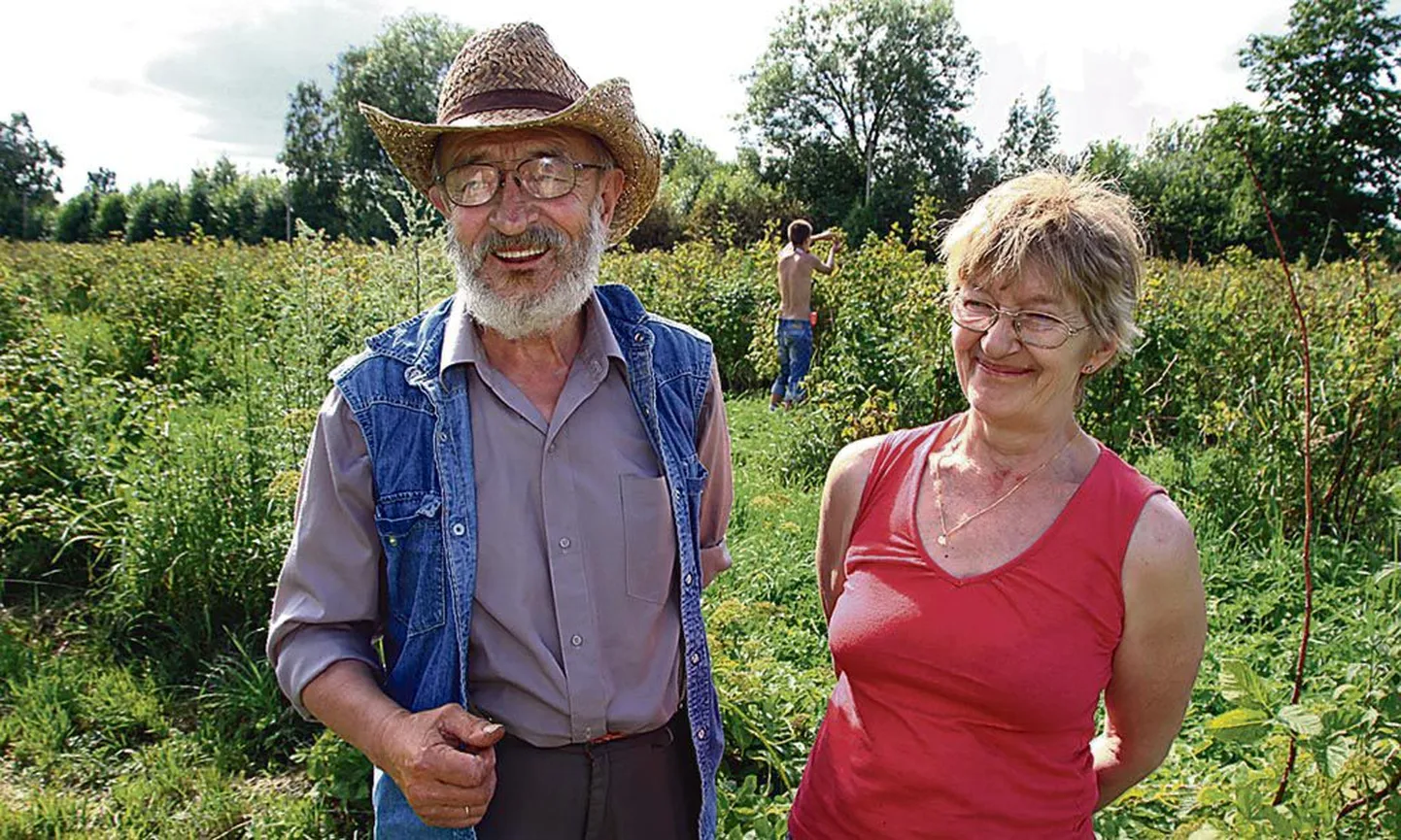 Heldur ja Else Mäger tunnevad rõõmu, et vahetasid loomapidamise marjakasvatuse vastu.