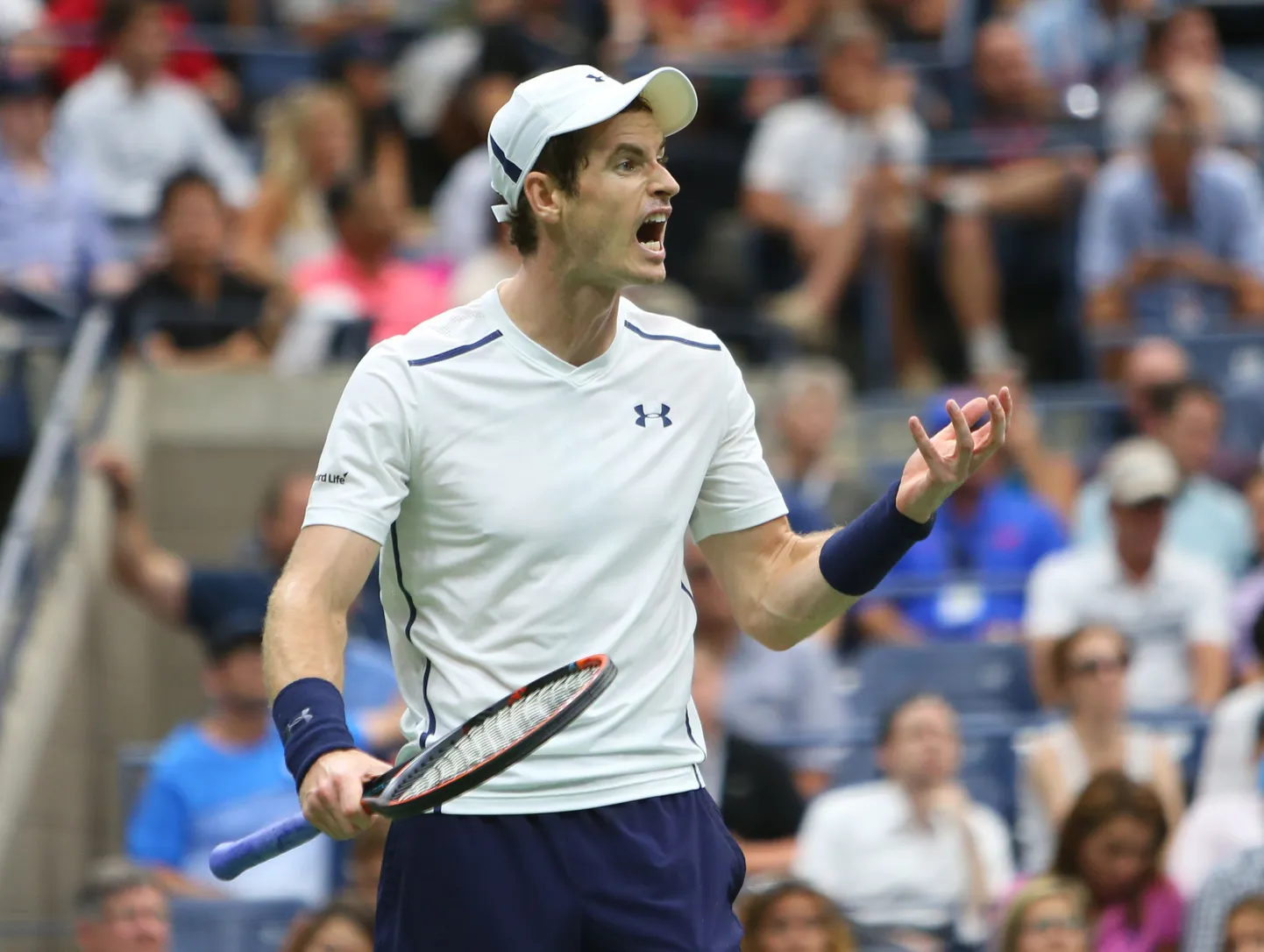 Andy Murray.