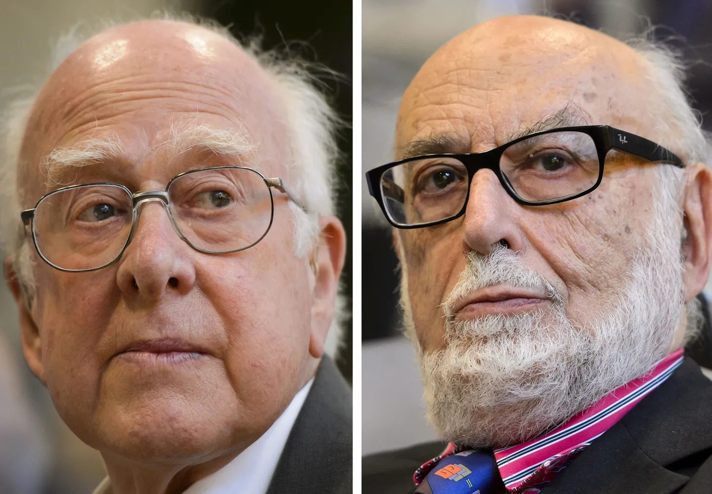 Füüsikud Peter Higgs (vasakul) ja François Englert.
