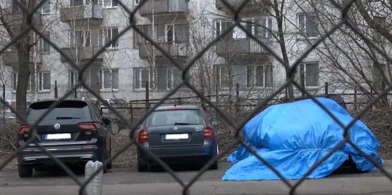 Фото статьи