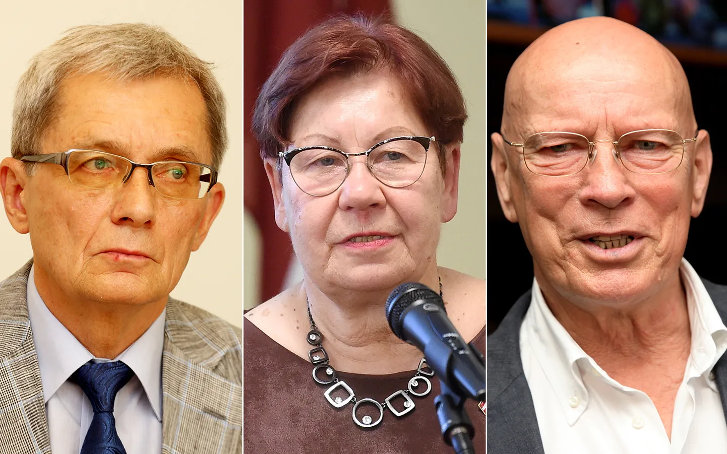 No kreisās: bijušais Latviešu valodas aģentūras direktors Jānis Valdmanis, Latvijas Okupācijas izpētes biedrības priekšsēdētāja Ruta Pazdere un bijušais Latvijas Leļļu teātra direktors Vilnis Beķeris
