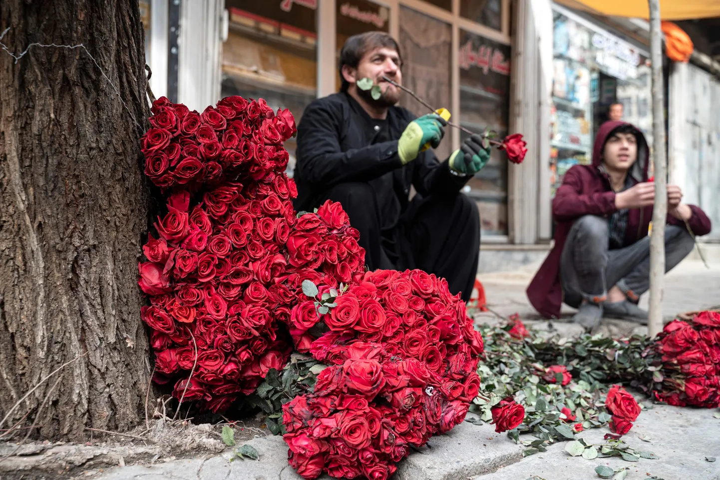 Kabuli lillemüüja ootab tänasel valentinipäeval kliente, keda aga napib, kuna Taliban keelas armunute püha tähistamise.