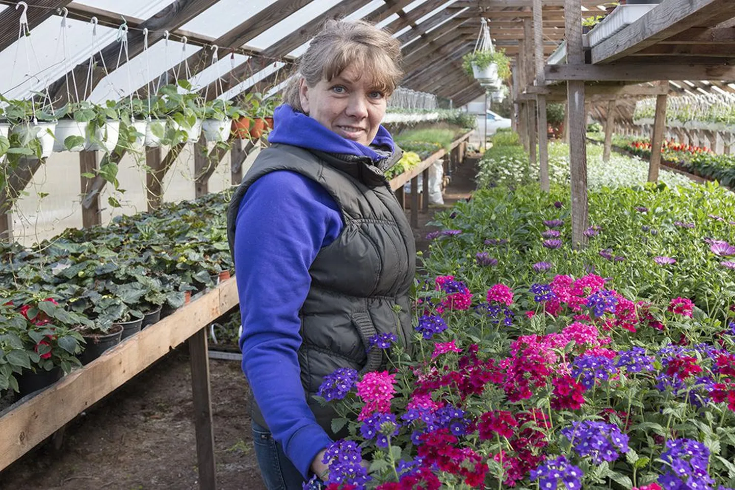 Viljandi järve kaldal Vardja külas tegutseva Järve Talu Aianduse perenaine Merike Rosenberg pakub peale taimede ka aiahooldusteenust.