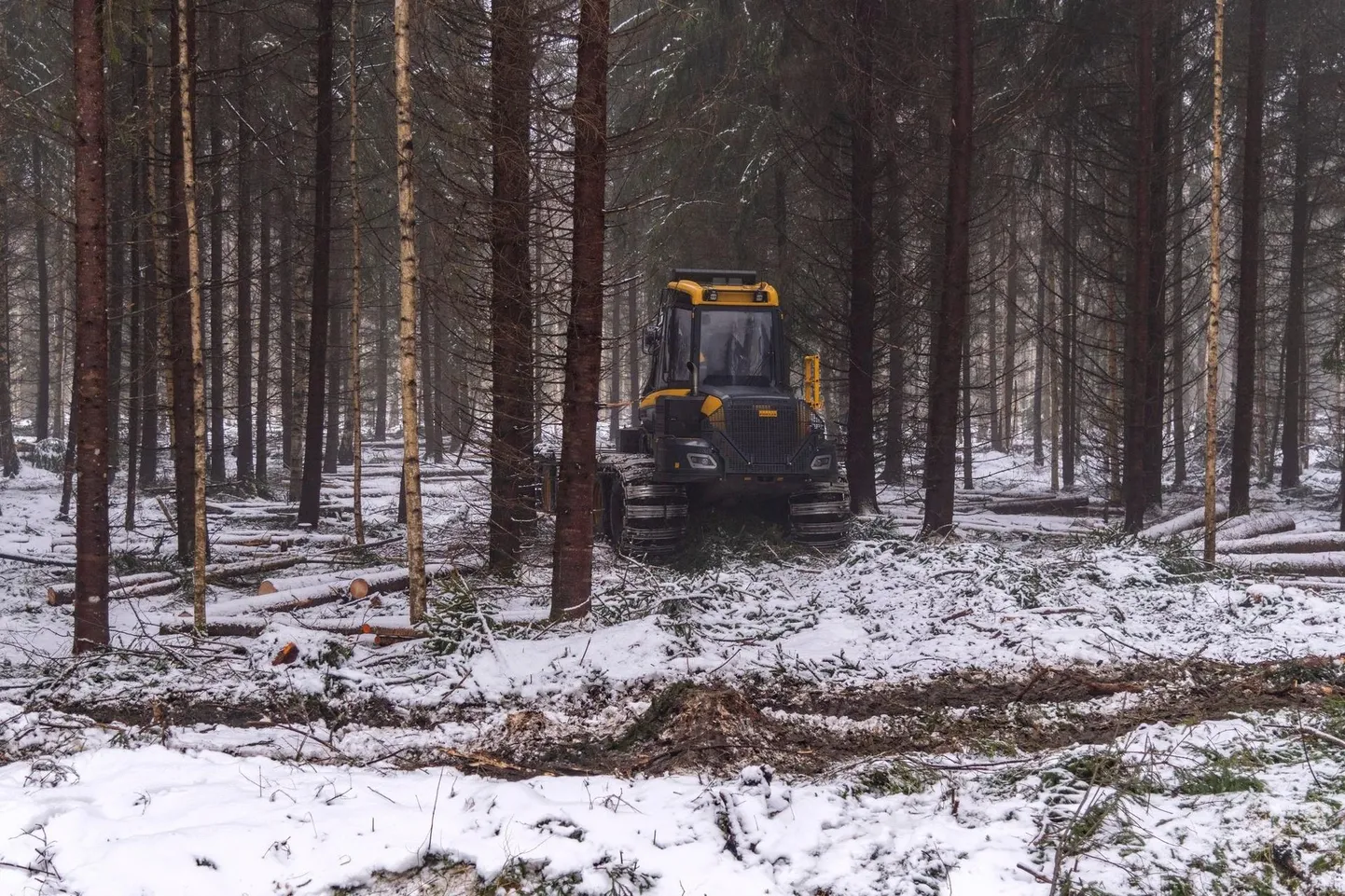 Harvester saab Soomaal mõneks ajaks puhkust.