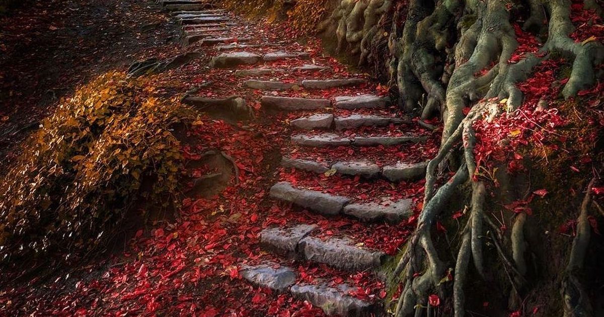 Șoapte zodiacale ⟩ Weekendul aduce multă emoție și entuziasm: unele dorințe se pot împlini