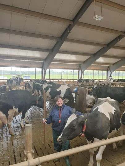 Adavere farmis töötab Tallinnast ­tulnud Ailo Tael, kes on ansambli Village Voice laulja, ent eriolukorra ajal kadus töö ning ta oli valmis lauta tööle tulema.