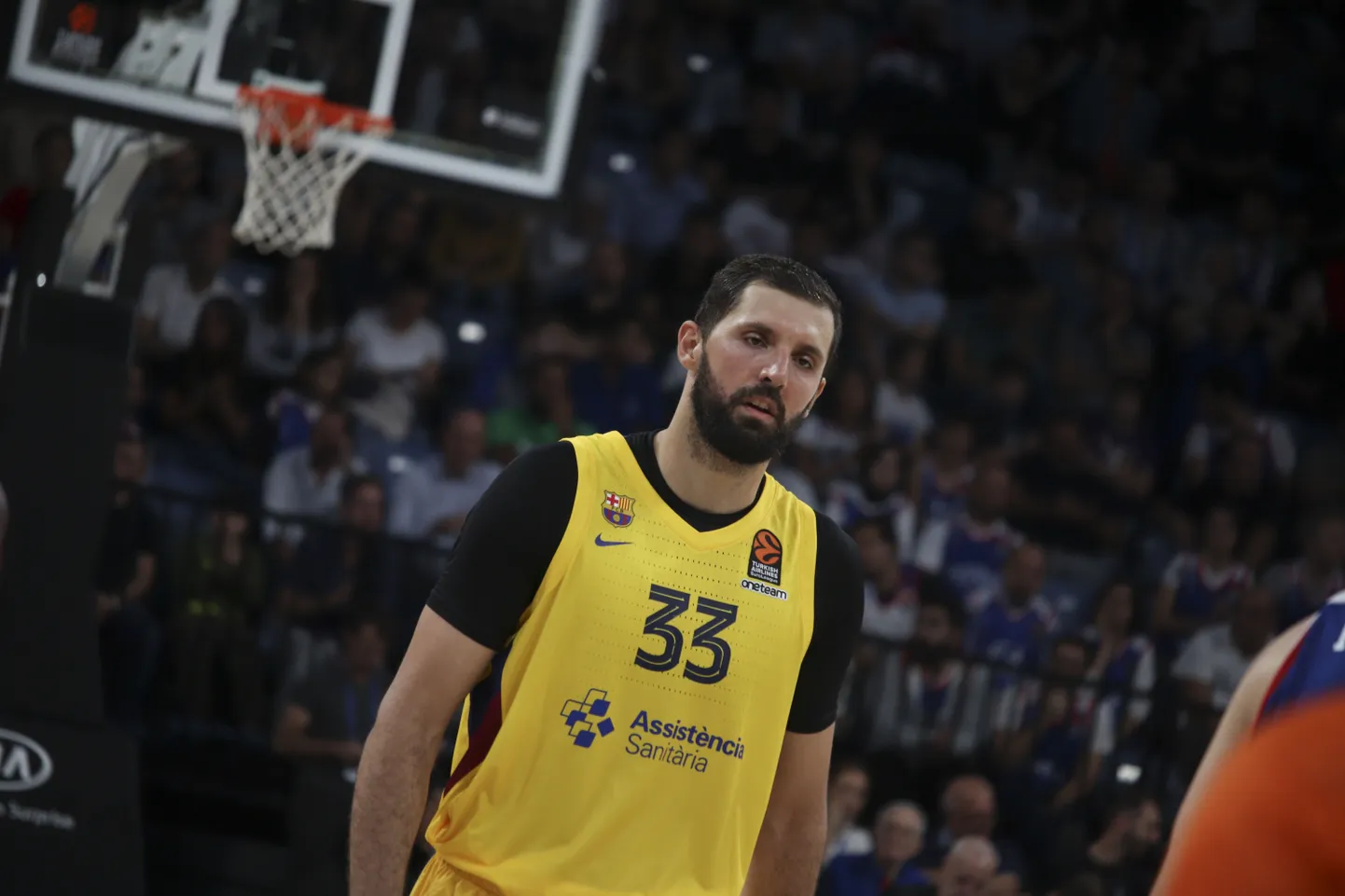 Nikola Mirotic