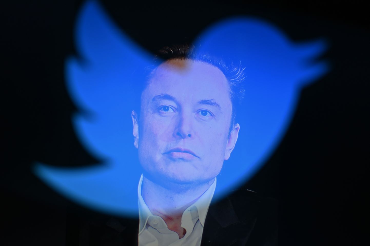 Suurim kaotaja oli Elon Musk. Tema vara väärtuse kahanemise üheks põhjuseks oli ka Twitterile kulunud energia, mis jättis Tesla tahaplaanile.