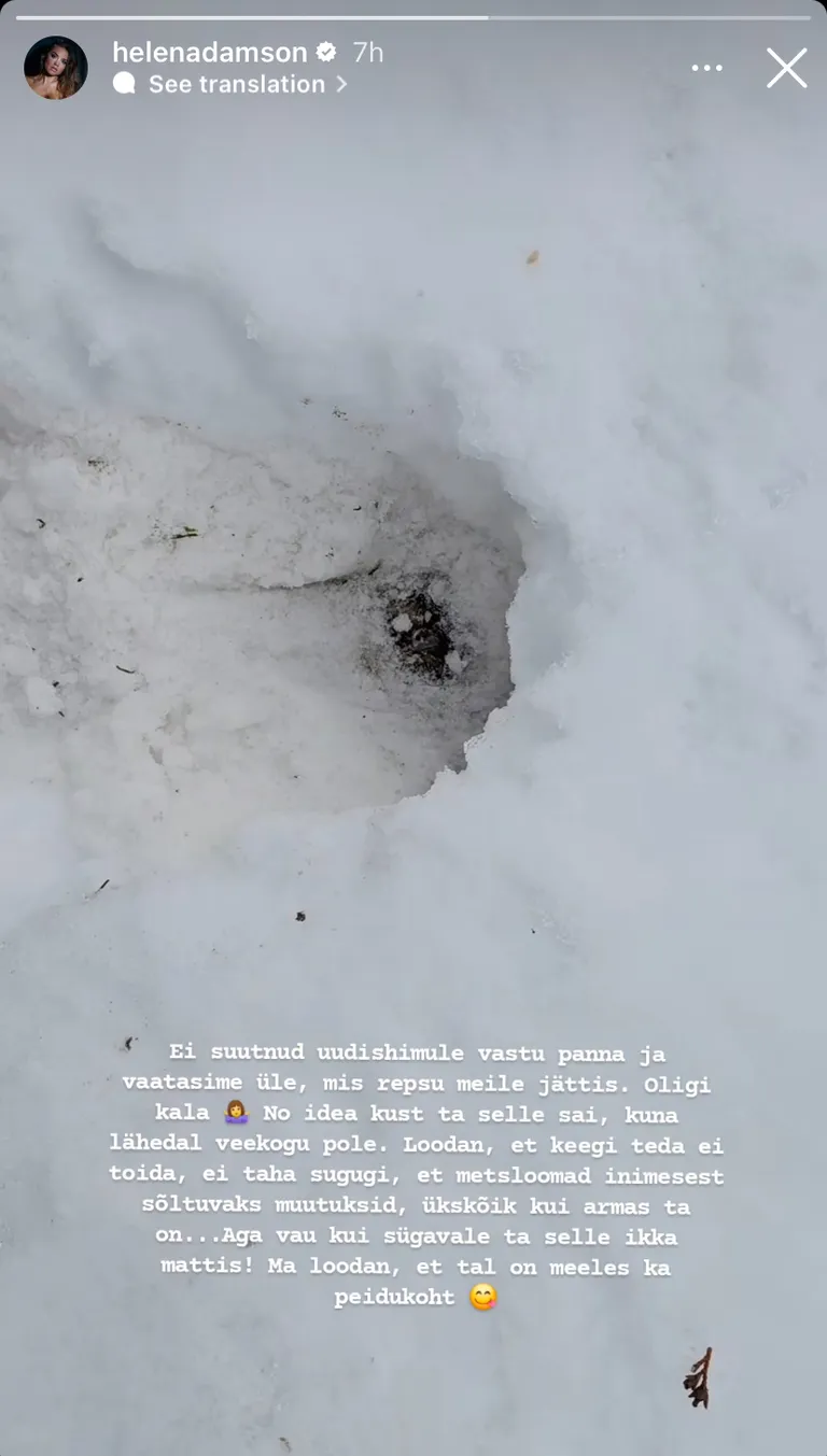 Rebane mattis lume alla kala.