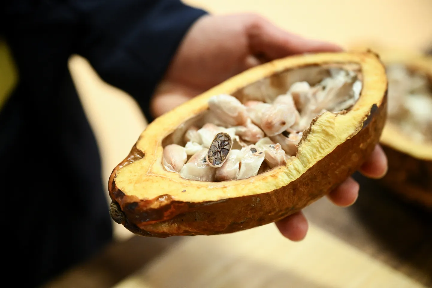 Kakaoube täis kakaokaun.