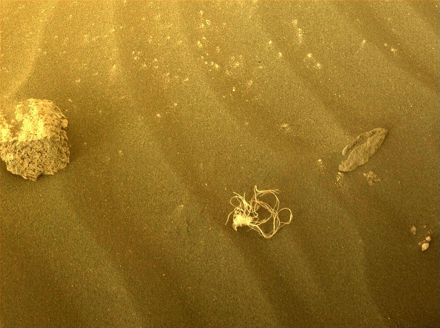 Marsikulguri pildil on midagi ebaharilikku, mis ei kuulu tavaliste Marsilt leitud asjade hulka.
