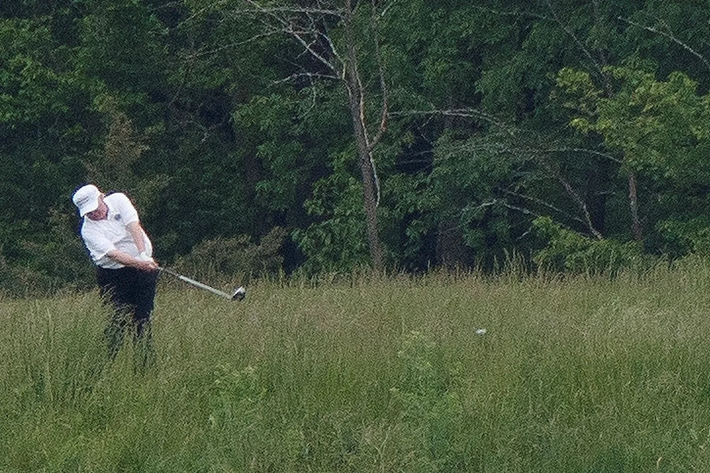 Trump golfimas.