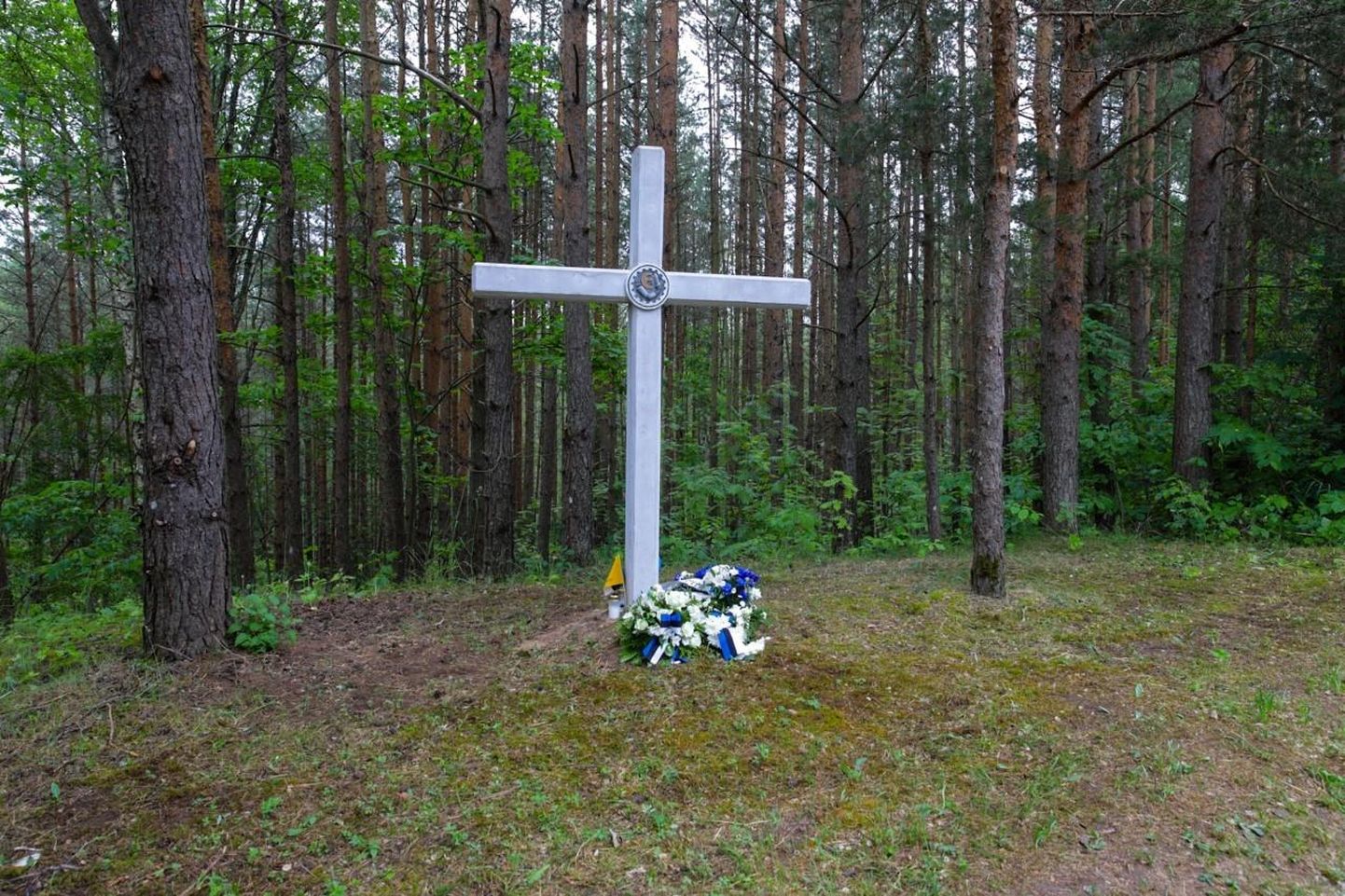 Võduvere mälestusmärk tähistab omaaegset rindetegevust, milles hukkus mitu vabadussõjas võidelnud meest.
