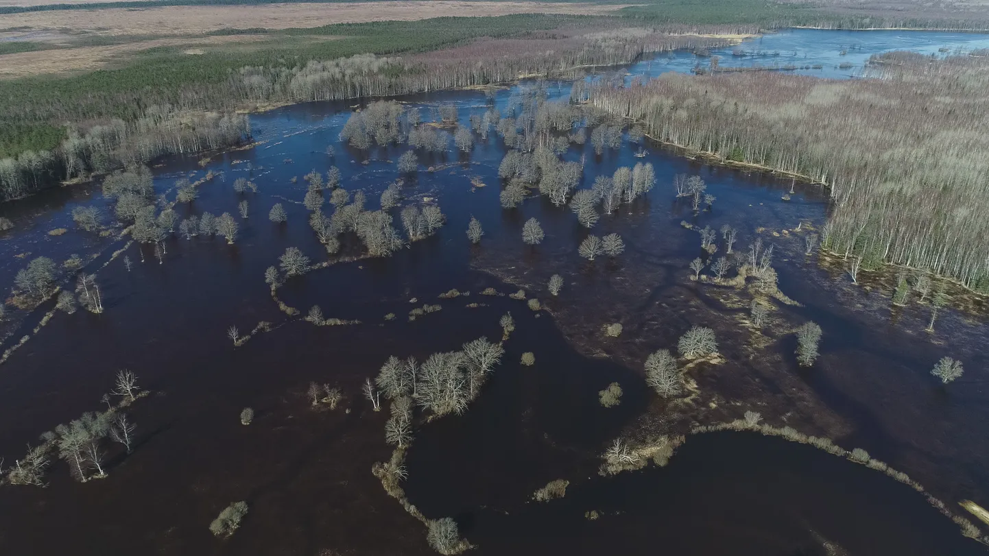 Soomaa tänavusel kevadel