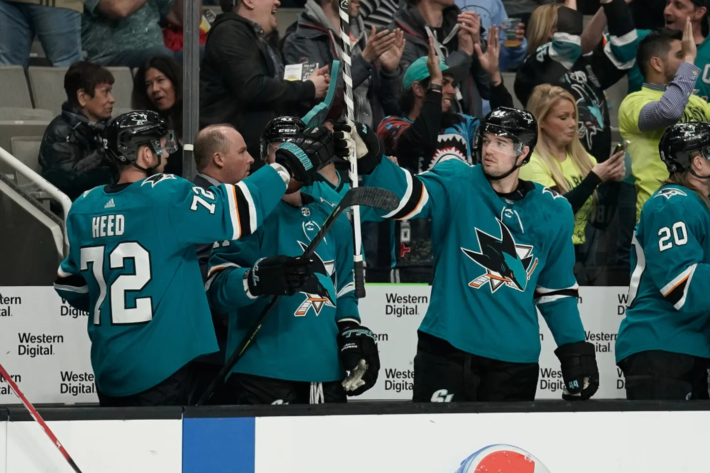 "Sharks" hokejisti.