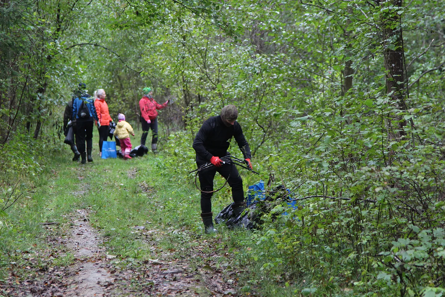 Maailmakoristuspäev 2019: Paide matkarada