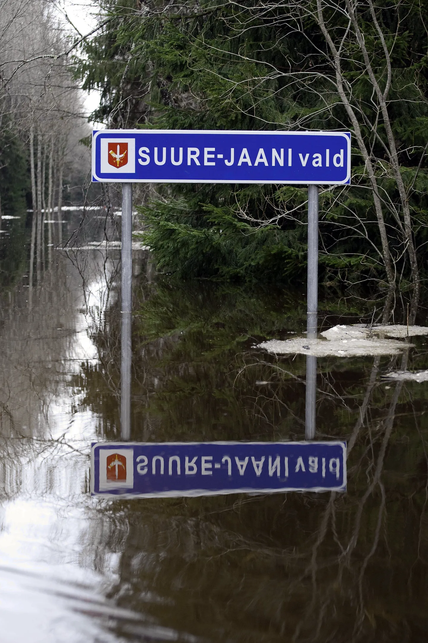 Suure-Jaani vallavolikogu otsuse põhjal moodustatakse 1. augustiks Kildu, Sürgavere ja Tääksi põhikoolist ning Suure-Jaani gümnaasiumi põhikooliosast uus põhikool, mille nimeks saab Suure-Jaani kool.