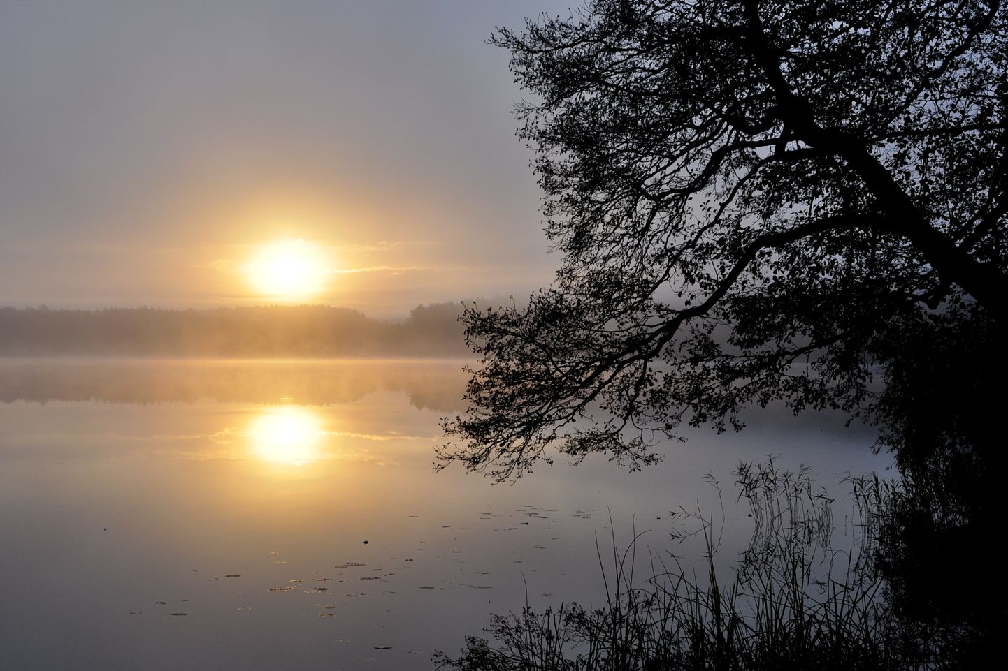Rītausma Augštaitijas nacionālajā parkā Lietuvā.