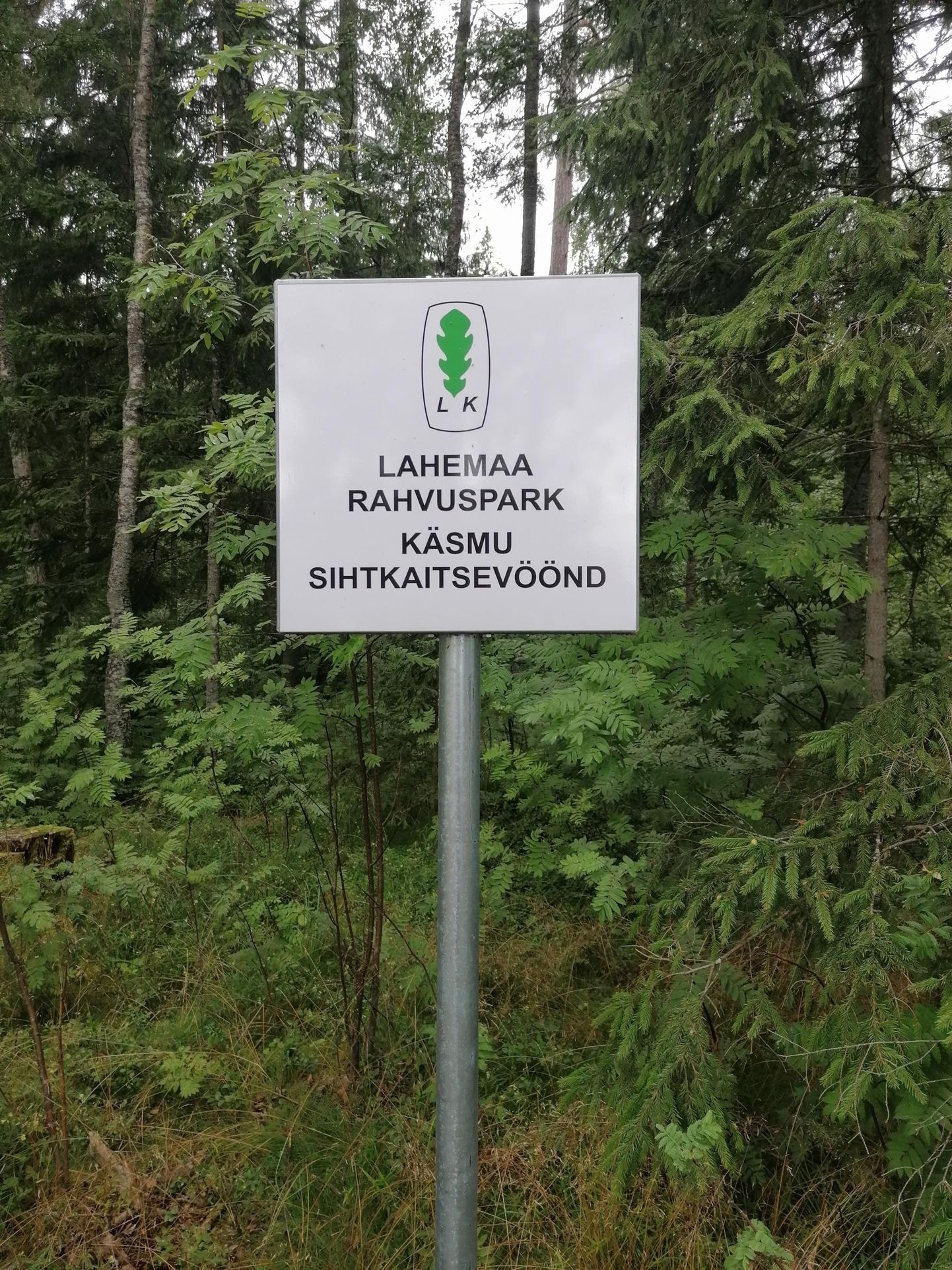 Veerand Eesti metsadest on leebema või rangema looduskaitsepiiranguga ning eramaadele jääb kaitstavat ala ligemale 200 000 hektarit. Foto on illustreeriv.