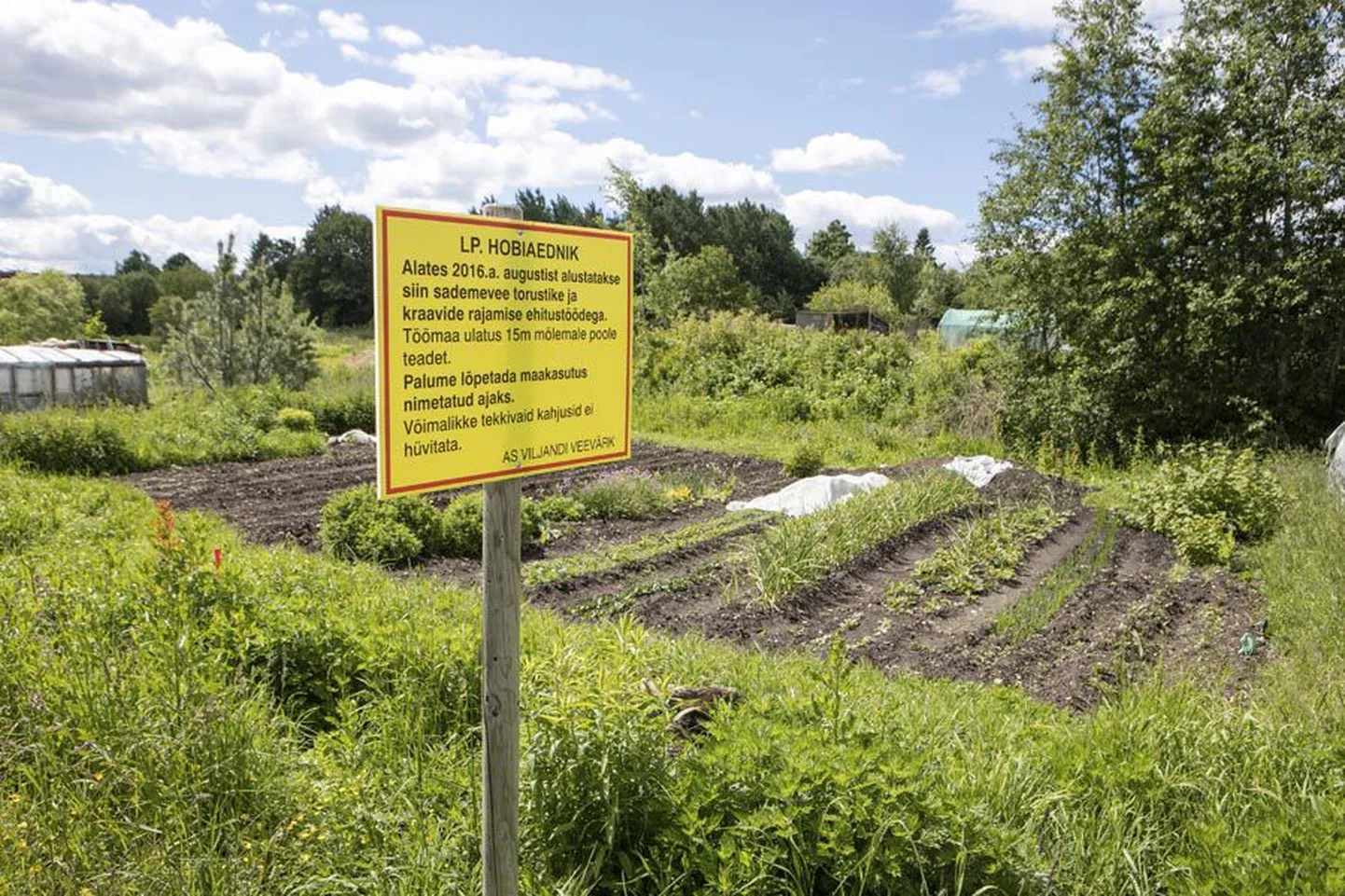 Osa peenramaid kaevetöödest pääseb, aga osa mitte. Sellest aiamaalapist läheb toru läbi.