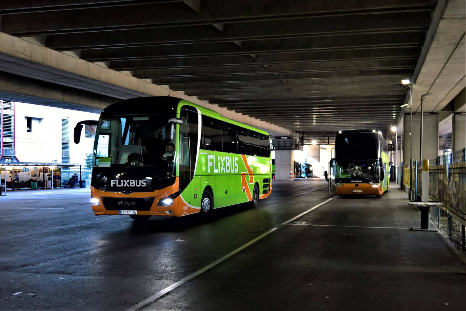 Автобусы Flixbus.