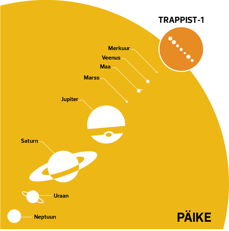 Võrreldes Päikesesüsteemiga on TRAPPIST-1 väga väike ja kompaktne. Kõik tema seitse planeeti on aga ligikaudu Maaga ühesuurused, varieerudes oma mõõtmetelt vaid 10 protsendi ulatuses. / NASA/JPL-CalTech