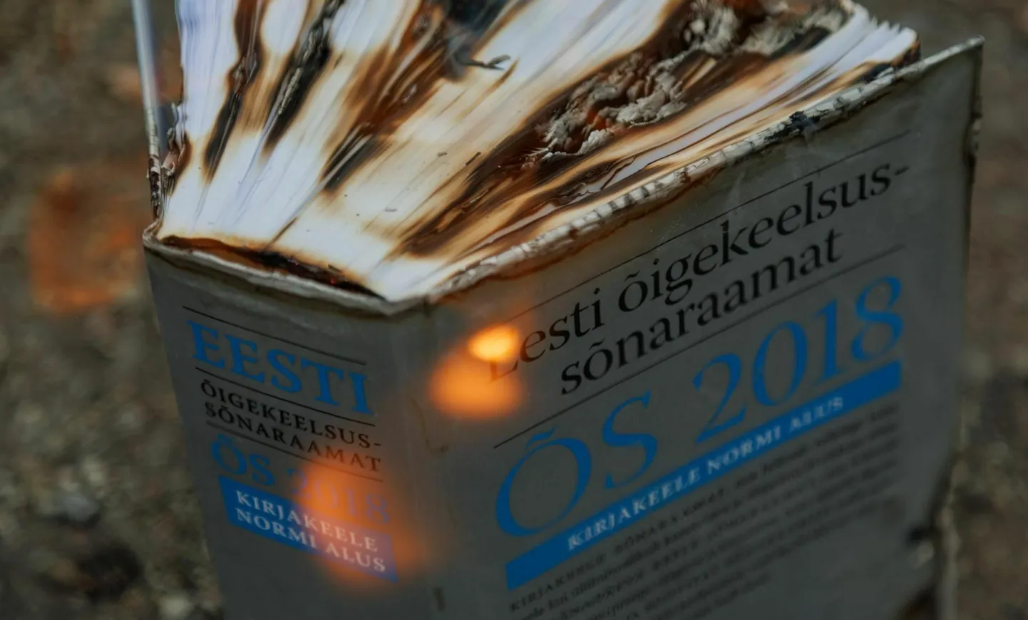 EKI tegevuskava järgi hõlmab uus, 2025. aastal ilmuv ÕS «kogu kirjakeelt – keelt, mis käibib suhtluses, kirjanduses, ajakirjanduses ja mujal, eri registreid ja osaliselt ka oskuskeelt».