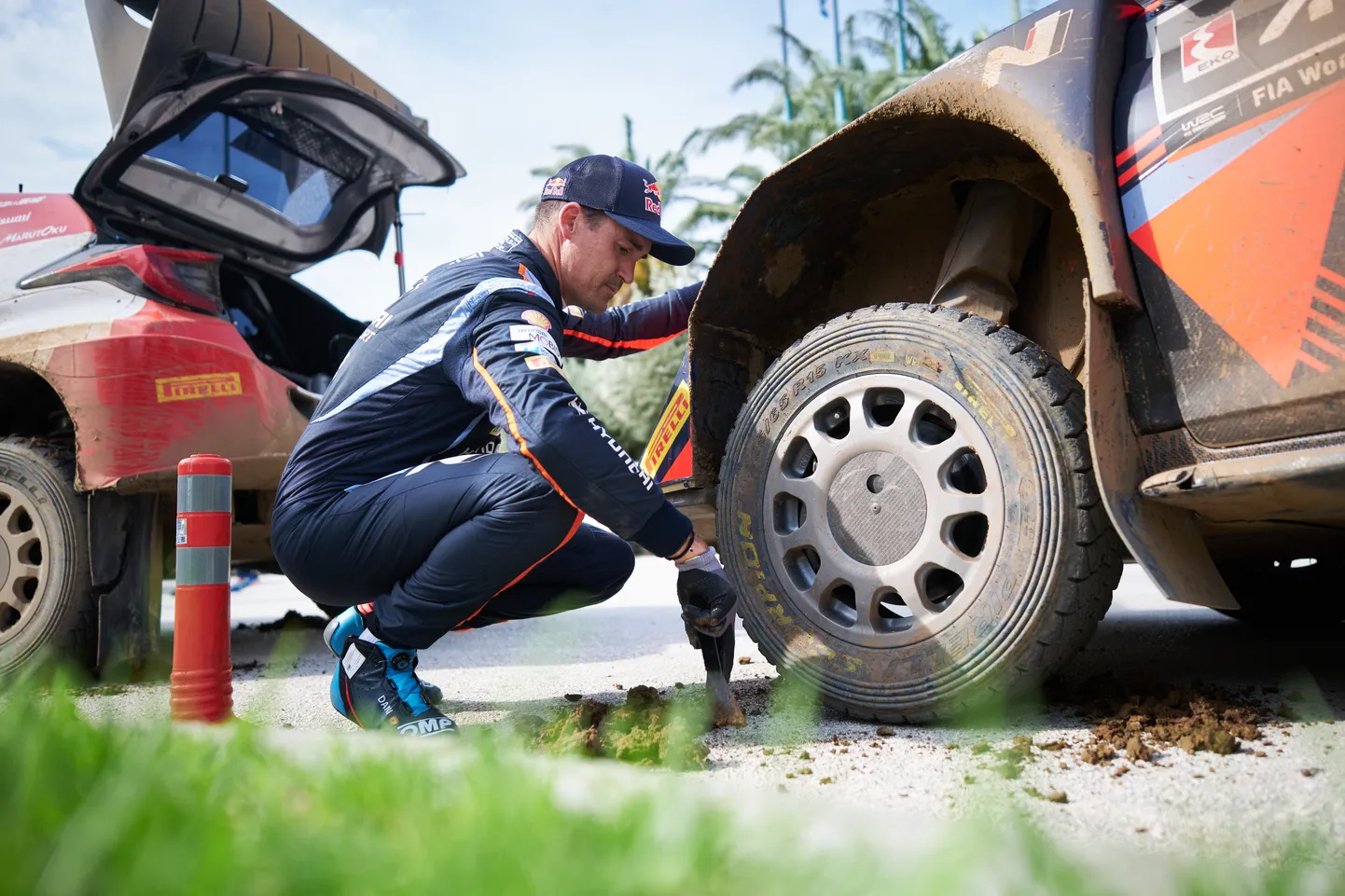 Dani Sordo ratta kallal askeldamas.