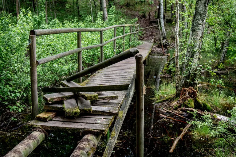 Üle veesilma viiv purre on osaliselt lammutatud ja rajale ei pääsegi.