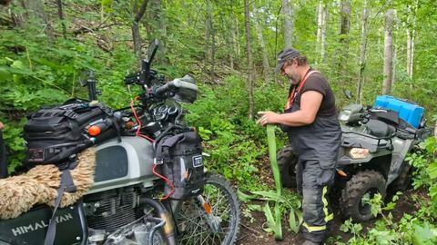 Purtse päästjad aitasid kraavi vajunud Taani motohundi välja vintsida