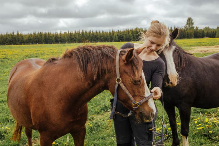 Laura Lemming aitab hobuste tervise eest hoolitseda.