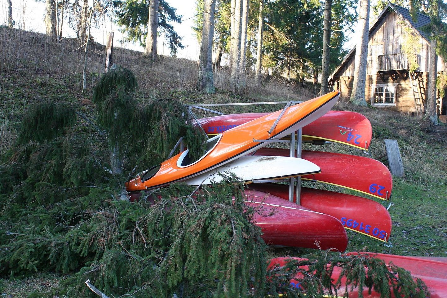 Tugev tuul tegi Põlvamaal Kiidjärvel asuvale Kassioru puhkemajale vähemalt 5000 euro suuruse kahju, kui talu kanuudele langes kuusk.