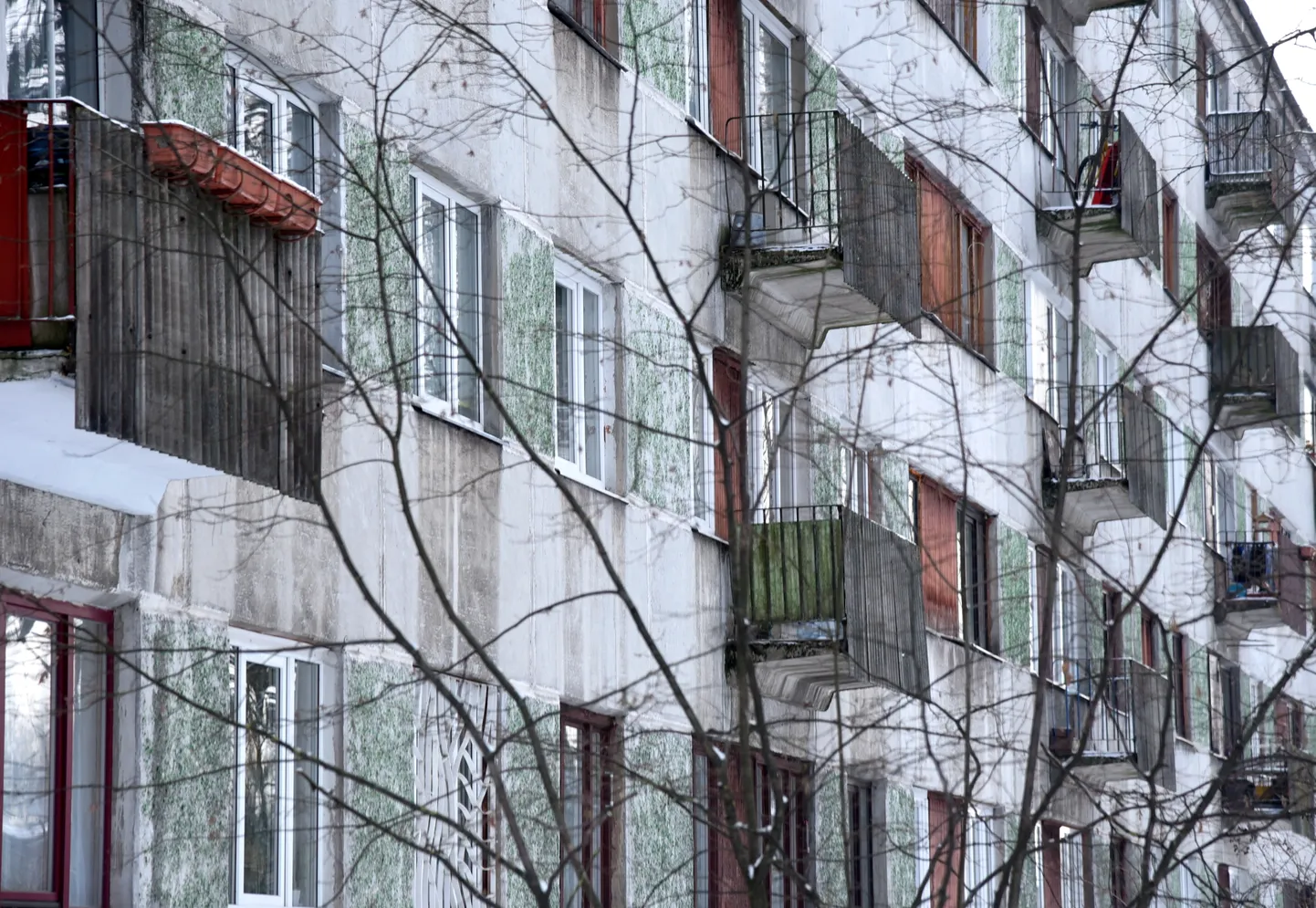 Иллюстративное фото