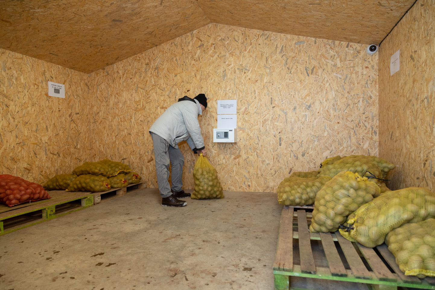Iseteeninduslikes müügipunktides saab aus ostja võtta võrkkotis kartuleid või porgandeid, jättes raha seinal olevasse karpi.