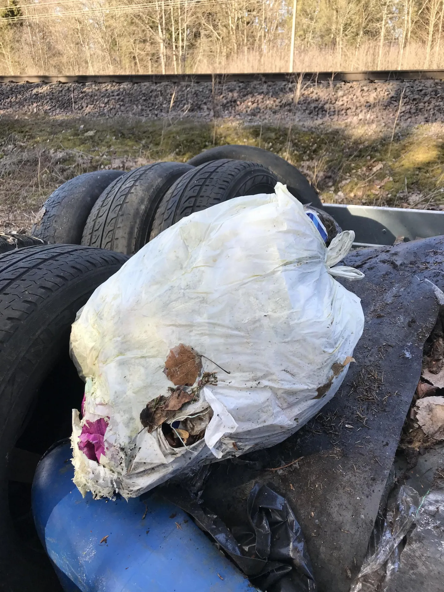 Üks paljudest Kadrina perekonna raudtee ääres ette võetud koristustöödel leitud rämpsuhunnikutest.