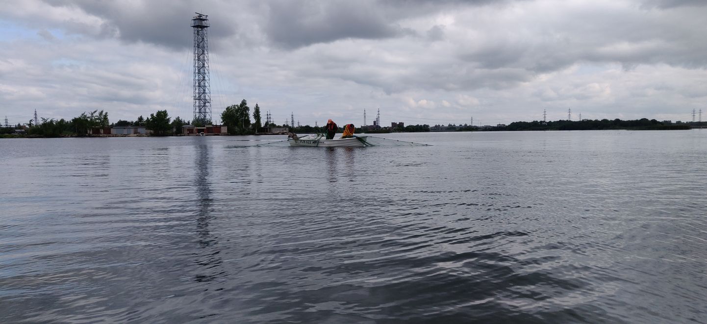 Ruutmõrrasüsteemi püügiks asetamine Narva veehoidlal.