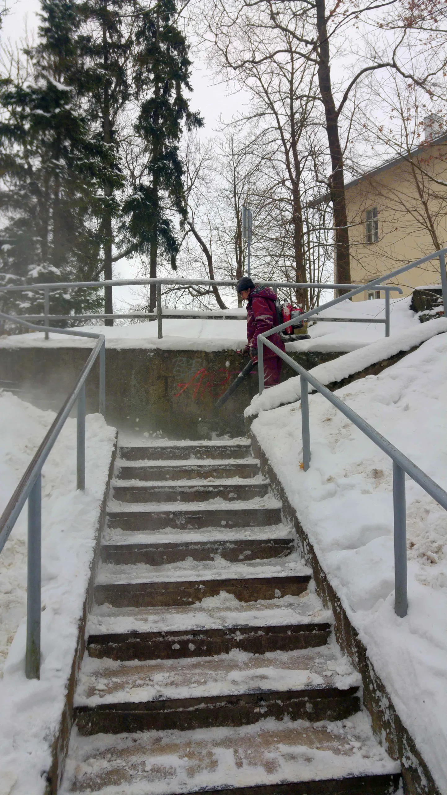 Lumetõrjetööd lehepuhuriga Toome treppidel.