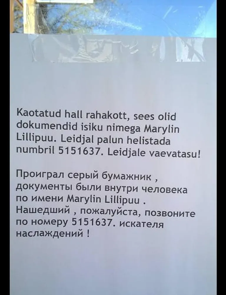 Фото статьи
