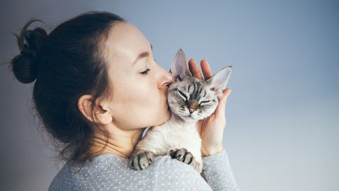 5 viisi, kuidas kass sinu vastu oma kiindumust välja näitab