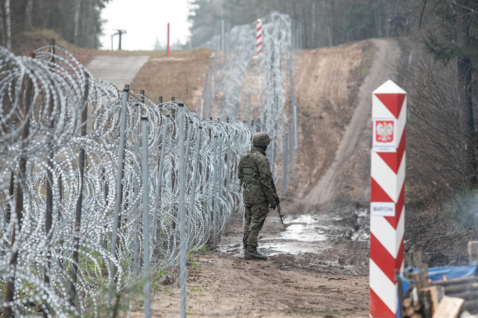Mullu novembris migrandikriisi ajal Leedu-Valgevene piirile püstitatud okastraataed. Praeguseks on Leedu piirile Valgevenega välja ehitanud enam kui 500 km pikkuse piiritara.