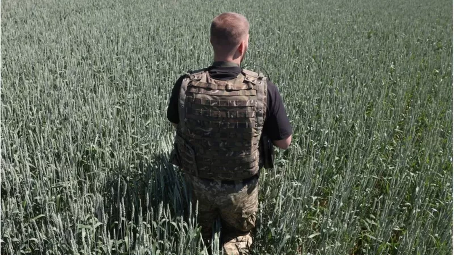 Украинский военный в поле под донецким Соледаром