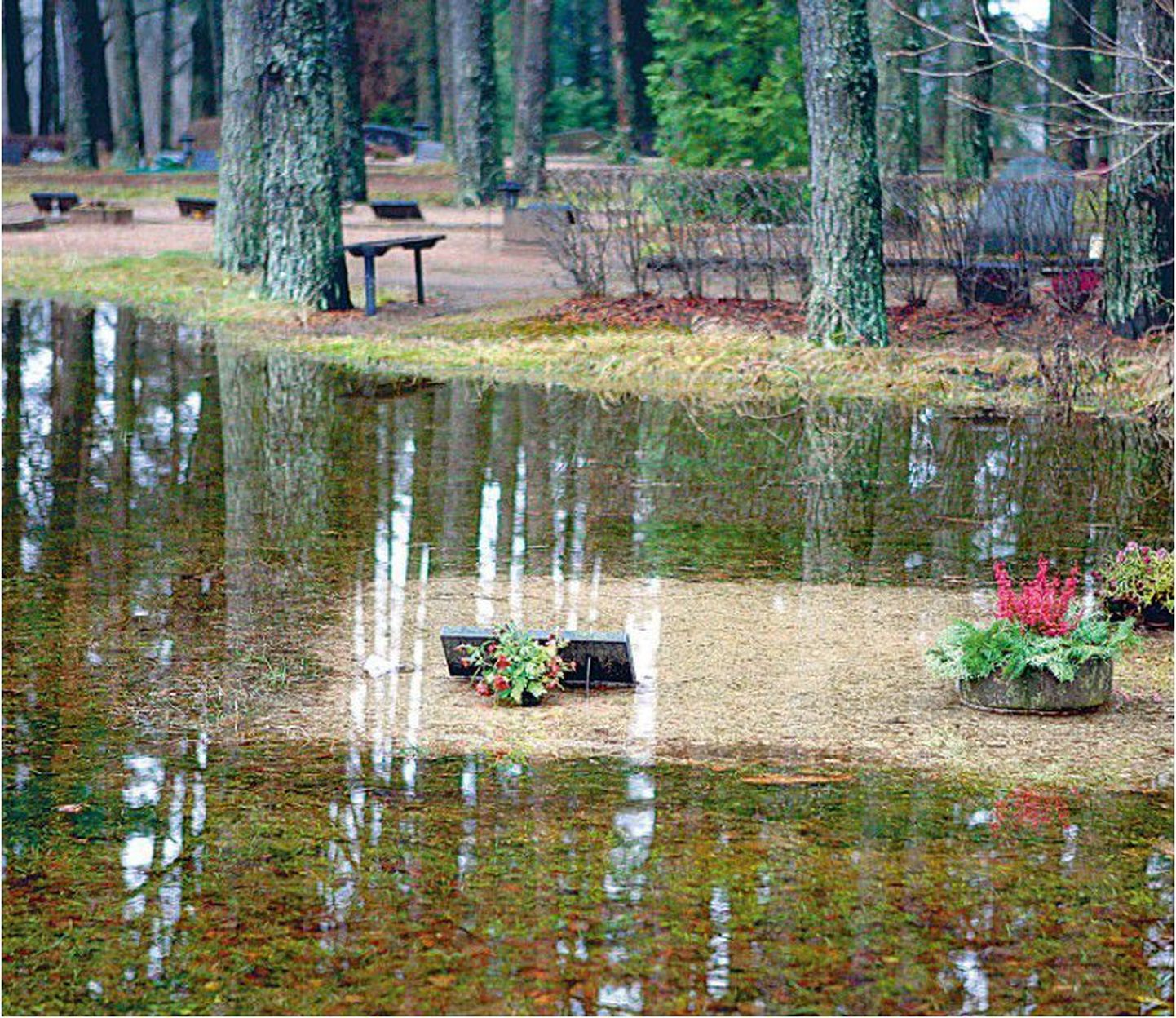 Viljandi Metsakalmistut on üleujutused kimbutanud viimastel aastatel. Kalmistul uputas ka sel nädalal.