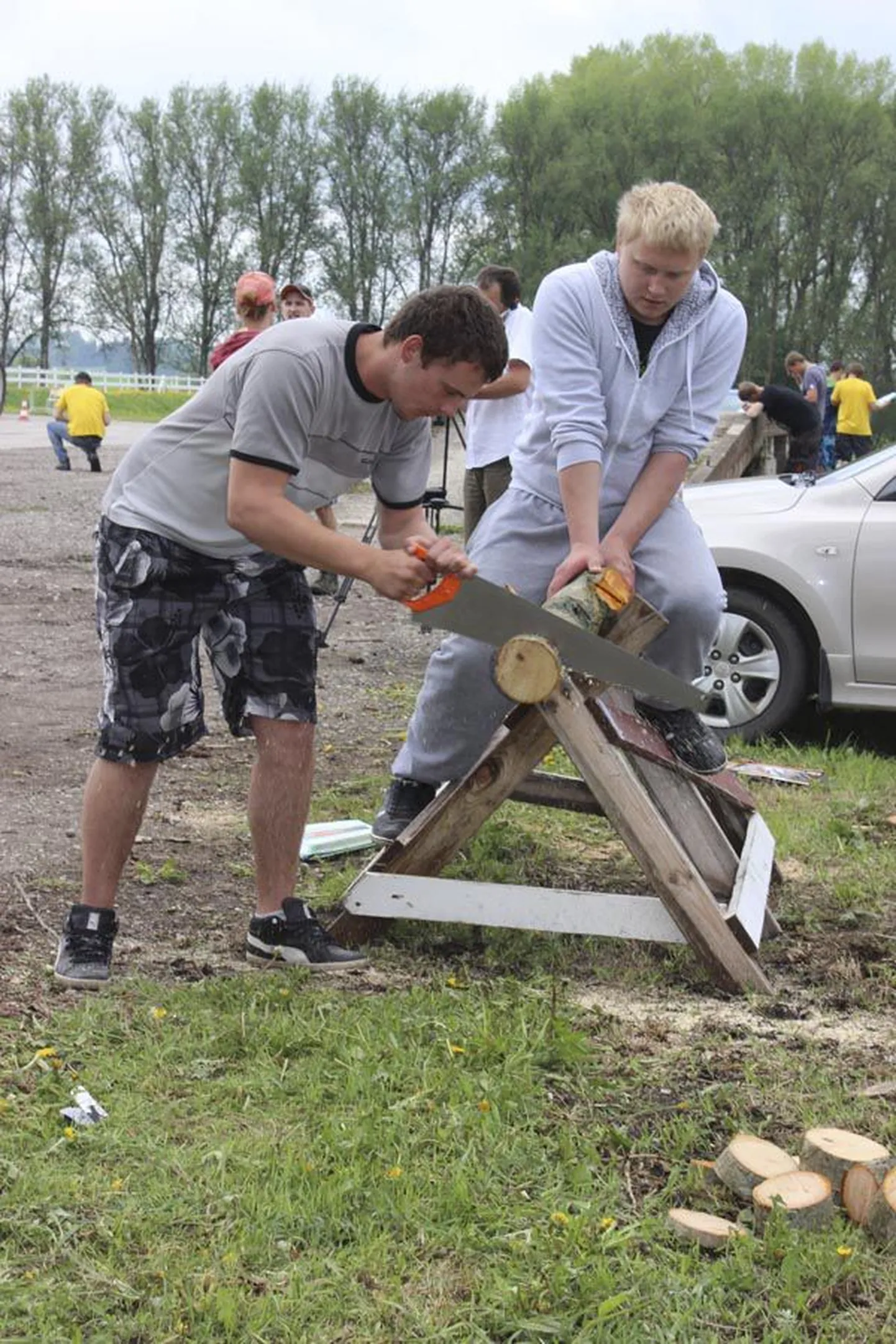 Olustvere teenindus- ja maamajanduskooli poisid näitasid käsisaega saagimises tugevat taset. Fotol on (paremal) Tauno Silm ja Raido Tukk.