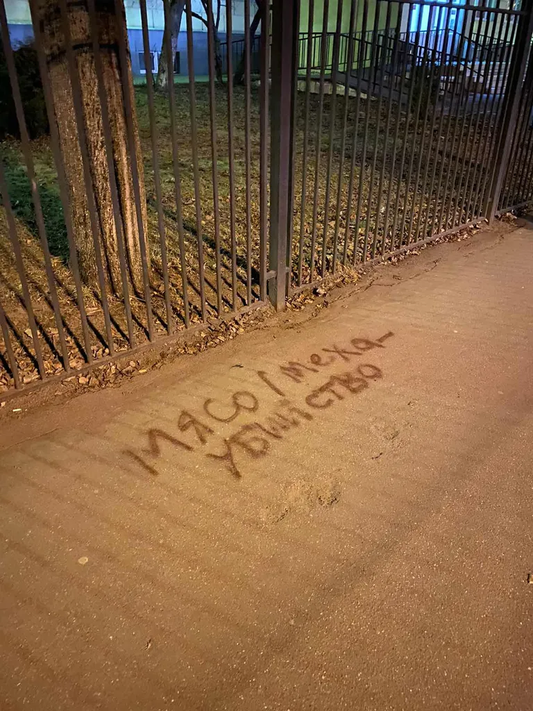 Фото статьи