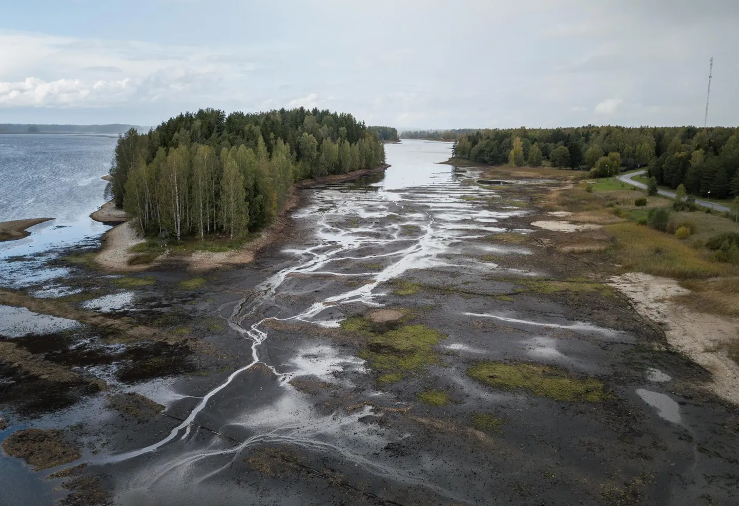 Paunküla veehoidla veetase on madal.