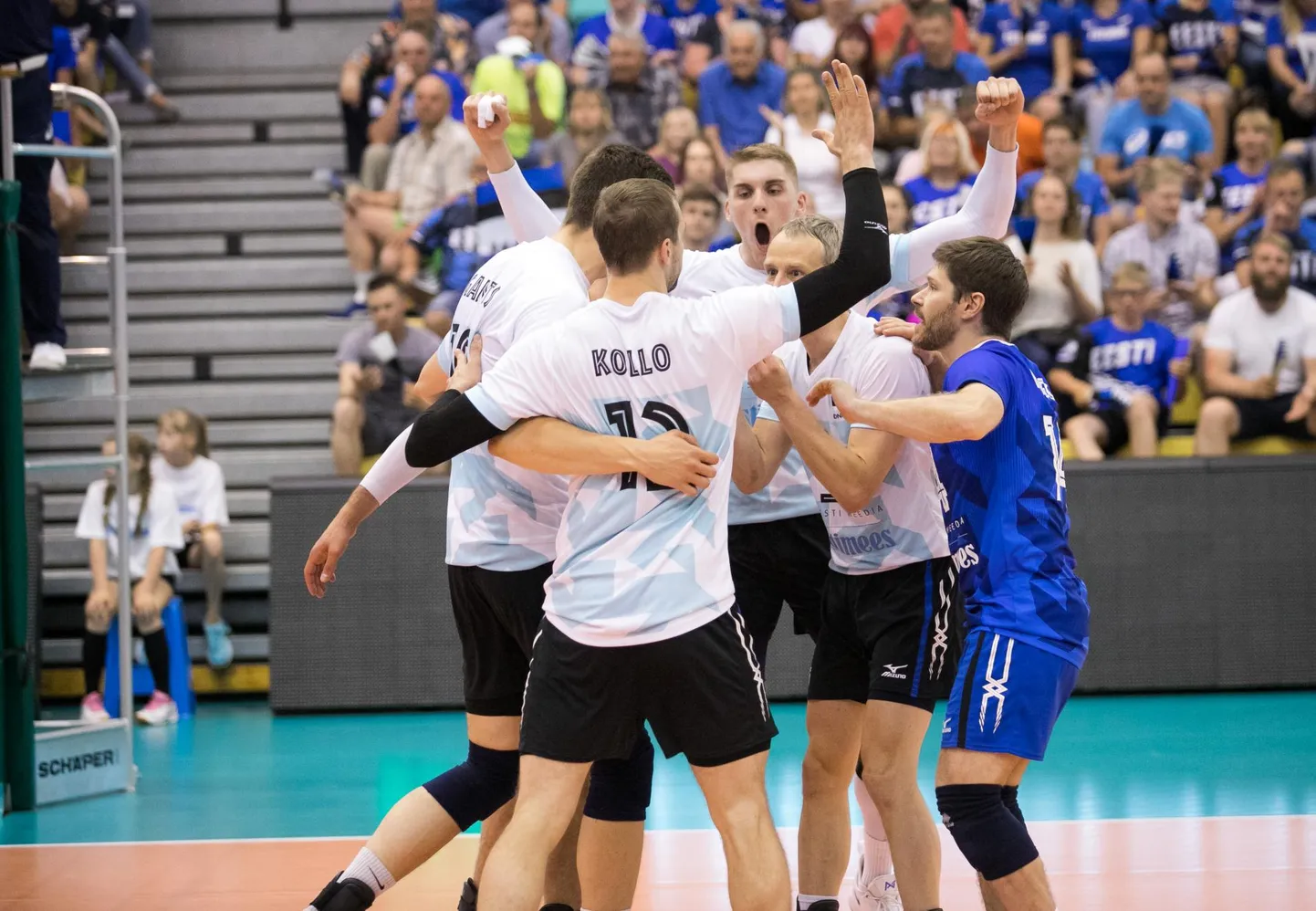 Eesti võrkpallikoondis
