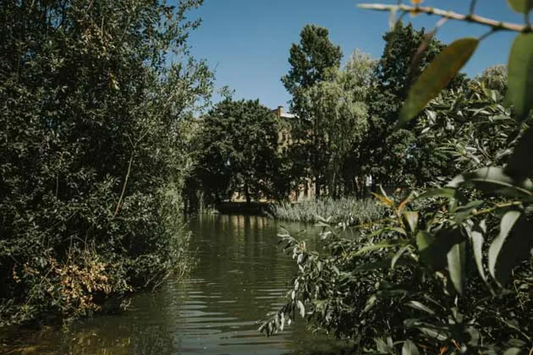 Raksta foto