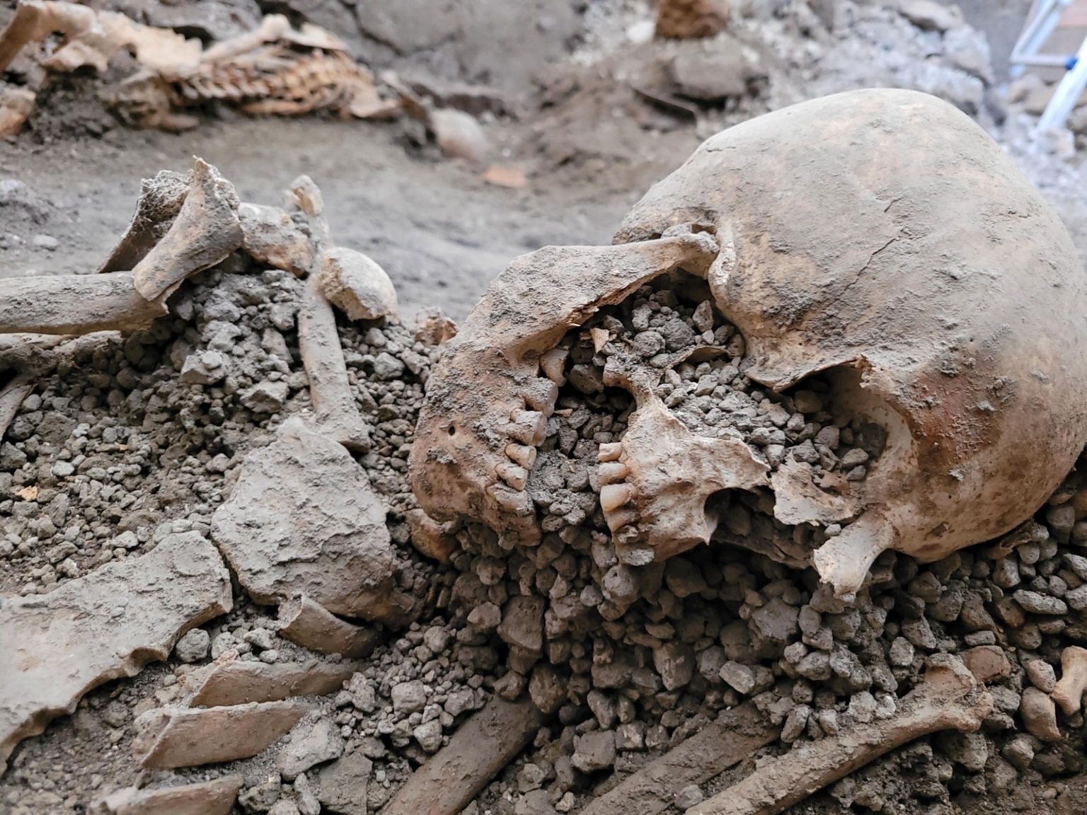 Itaalia Pompei arheoloogiapargis jätkuvad väljakaevamised, milles leiti veel kaks meest, kes kaotasid elu 79. aasta Vesuuvi vulkaani purskes