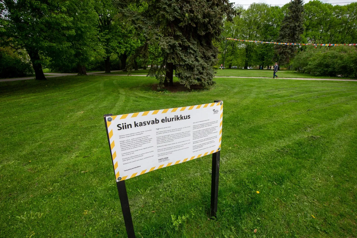 Tartu keskpark.