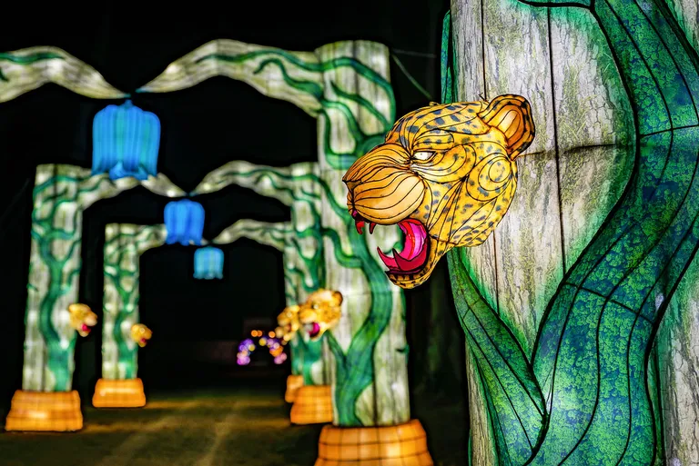 Фото статьи